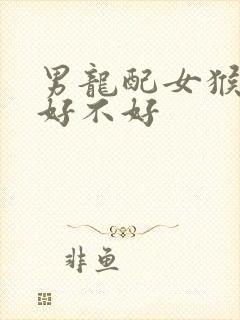 男龙配女猴属相好不好