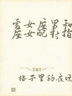 处女座男和摩羯座女配对指数