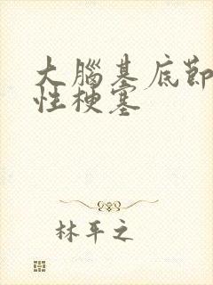 大脑基底节腔隙性梗塞