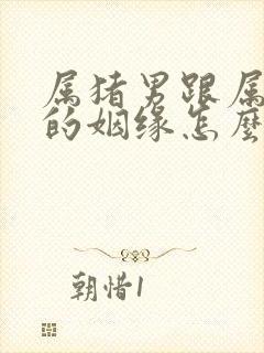 属猪男跟属马女的姻缘怎么样