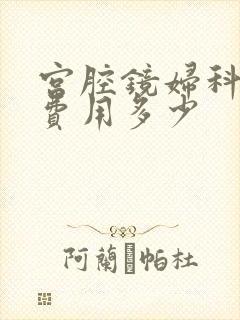 宫腔镜妇科检查费用多少