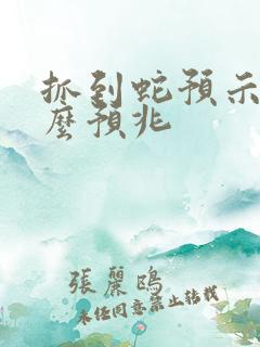 抓到蛇预示着什么预兆