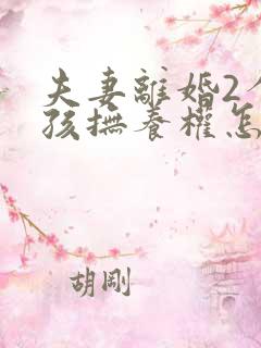 夫妻离婚2个小孩抚养权怎么判