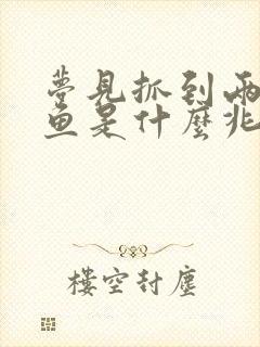 梦见抓到两条大鱼是什么兆头