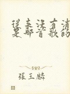 从来没有消失过是哪首歌的歌词