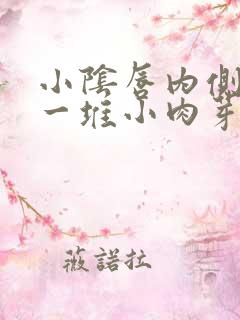 小阴唇内侧长了一堆小肉芽