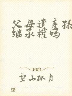 父母遗产孙子有继承权吗