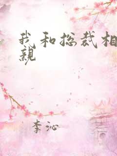 我和总裁相了个亲