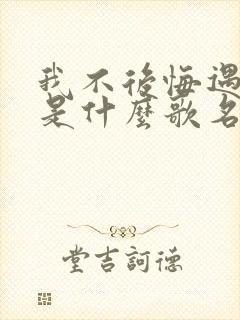 我不后悔遇见你是什么歌名