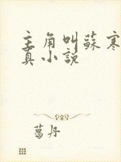 主角叫苏寒的修真小说