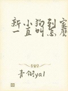 新小狗到家晚上一直叫怎么办