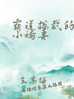 霸道总裁的甜宠小娇妻