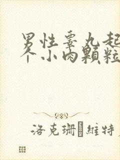 男性睾丸起了一个小肉颗粒