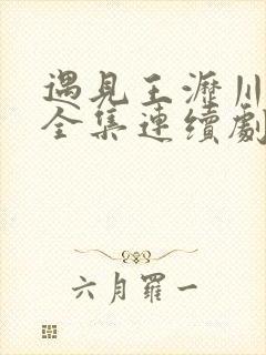 遇见王沥川免费全集连续剧