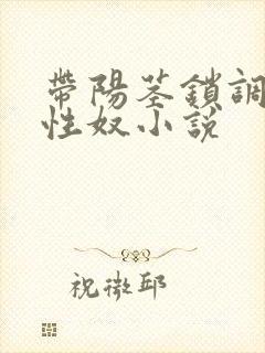 带阳茎锁调教男性奴小说