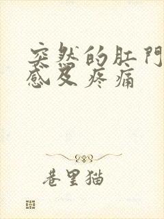 突然的肛门下坠感及疼痛