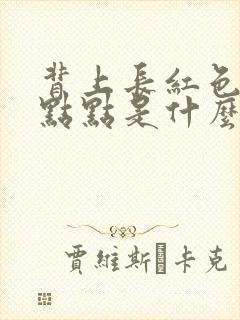 背上长红色的小点点是什么原因