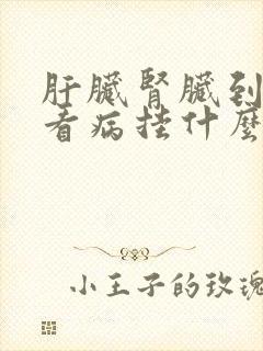 肝脏肾脏到医院看病挂什么科