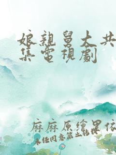 娘亲舅大共多少集电视剧