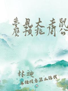 梦见大老鼠是什么预兆周公解梦