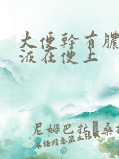 大便干有脓样黏液在便上