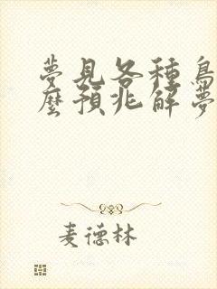 梦见各种鸟是什么预兆解梦