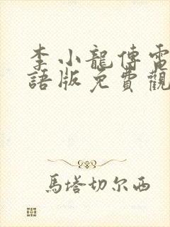 李小龙传电影国语版免费观看