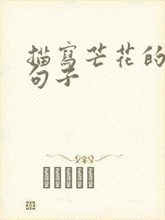 描写芒花的唯美句子