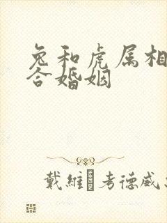 兔和虎属相合不合婚姻