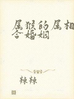 属猴的属相合不合婚姻