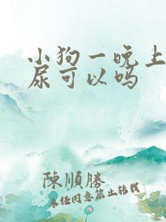 小狗一晚上不拉尿可以吗