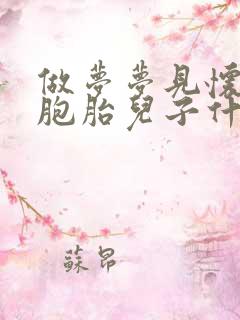 做梦梦见怀了双胞胎儿子什么意思