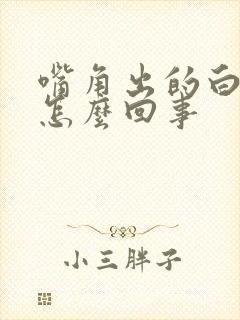 嘴角出的白块是怎么回事