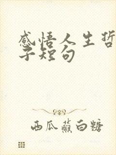 感悟人生哲理句子短句