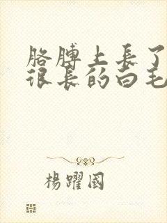 胳膊上长了一根很长的白毛怎么回事