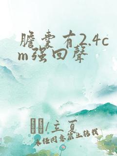 胆囊有2.4cm强回声