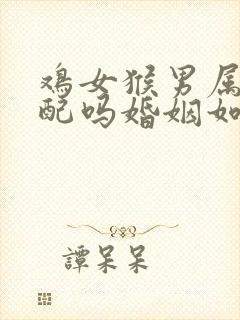 鸡女猴男属相相配吗婚姻如何