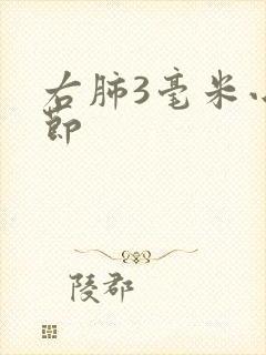 右肺3毫米小结节