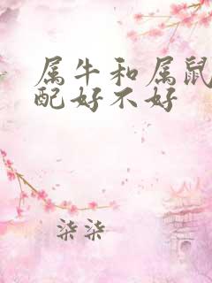 属牛和属鼠的婚配好不好