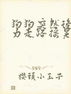 狗狗突然后腿无力走路摇晃