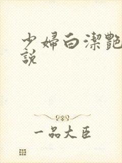 少妇白洁艳情小说