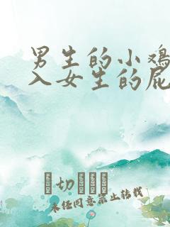 男生的小鸡鸡插入女生的屁股