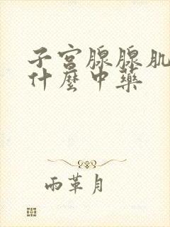 子宫腺腺肌症用什么中药