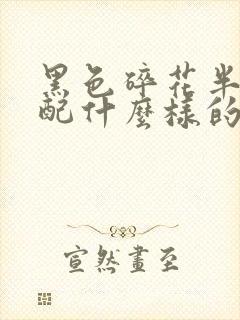 黑色碎花半裙搭配什么样的上衣好看