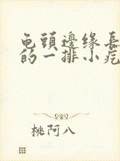 龟头边缘长肉色的一排小疙瘩