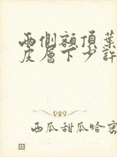 两侧额顶叶大脑皮层下少许缺血灶