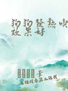 狗狗发热吃啥药效果好