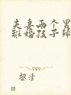 夫妻两个男孩子离婚孩子归谁