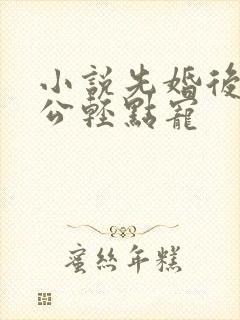 小说先婚后爱老公轻点宠