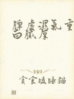 脾虚湿气重舌头白腻厚